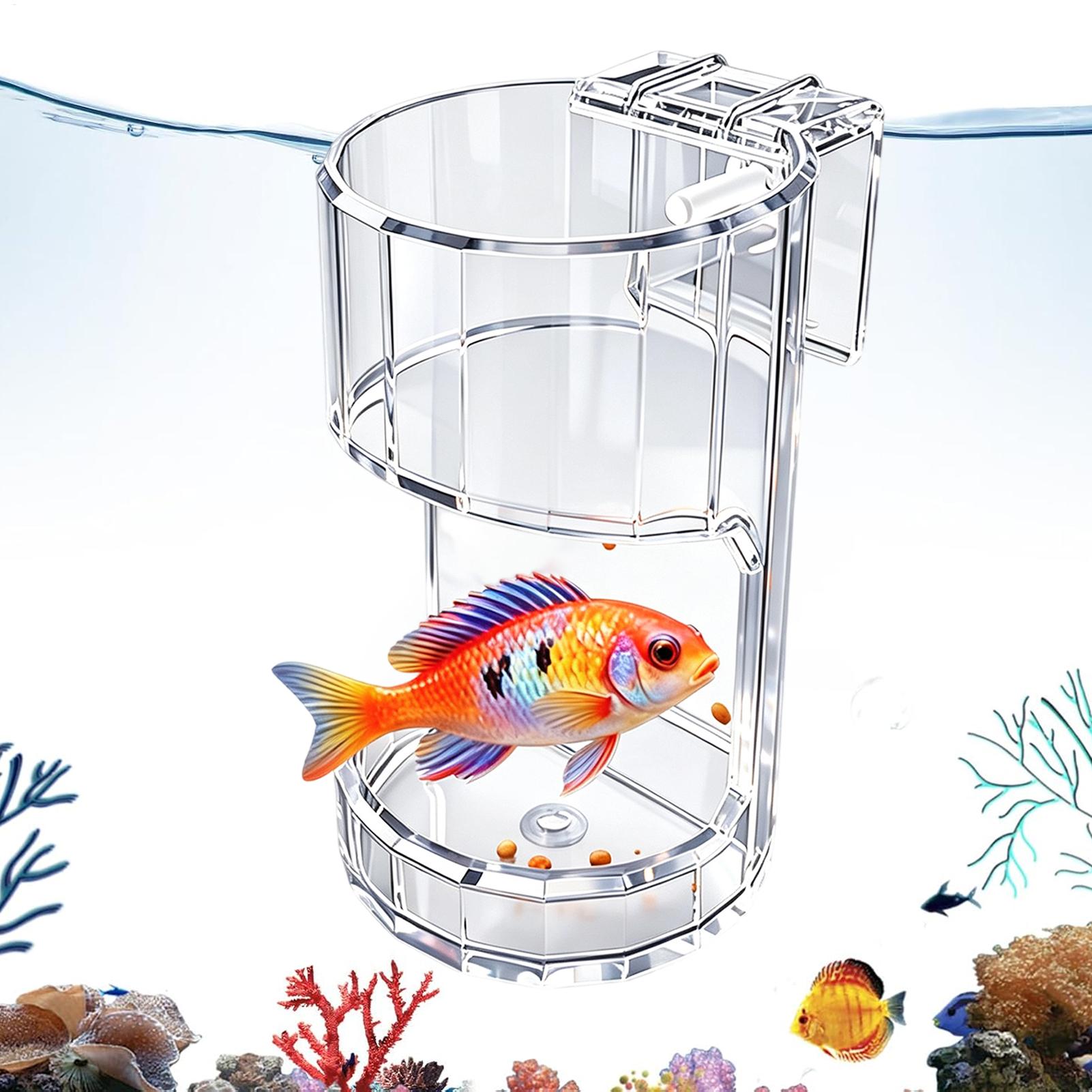 Aquarium Fish Holiday Food - 水族館給餌皿透明フードボウルホルダーコンテナ水族館魚フィーダーボックスカメエビベタホームリビングルーム用