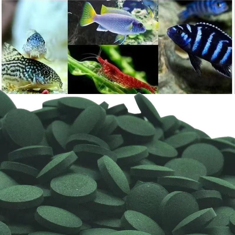 Aquarium Fish Holiday Food - 50/100/300/500 個スピルリナ錠剤螺旋状海藻濃縮物お気に入りのペットフード魚クリスタルレッドシュリンプ魚の餌水族館