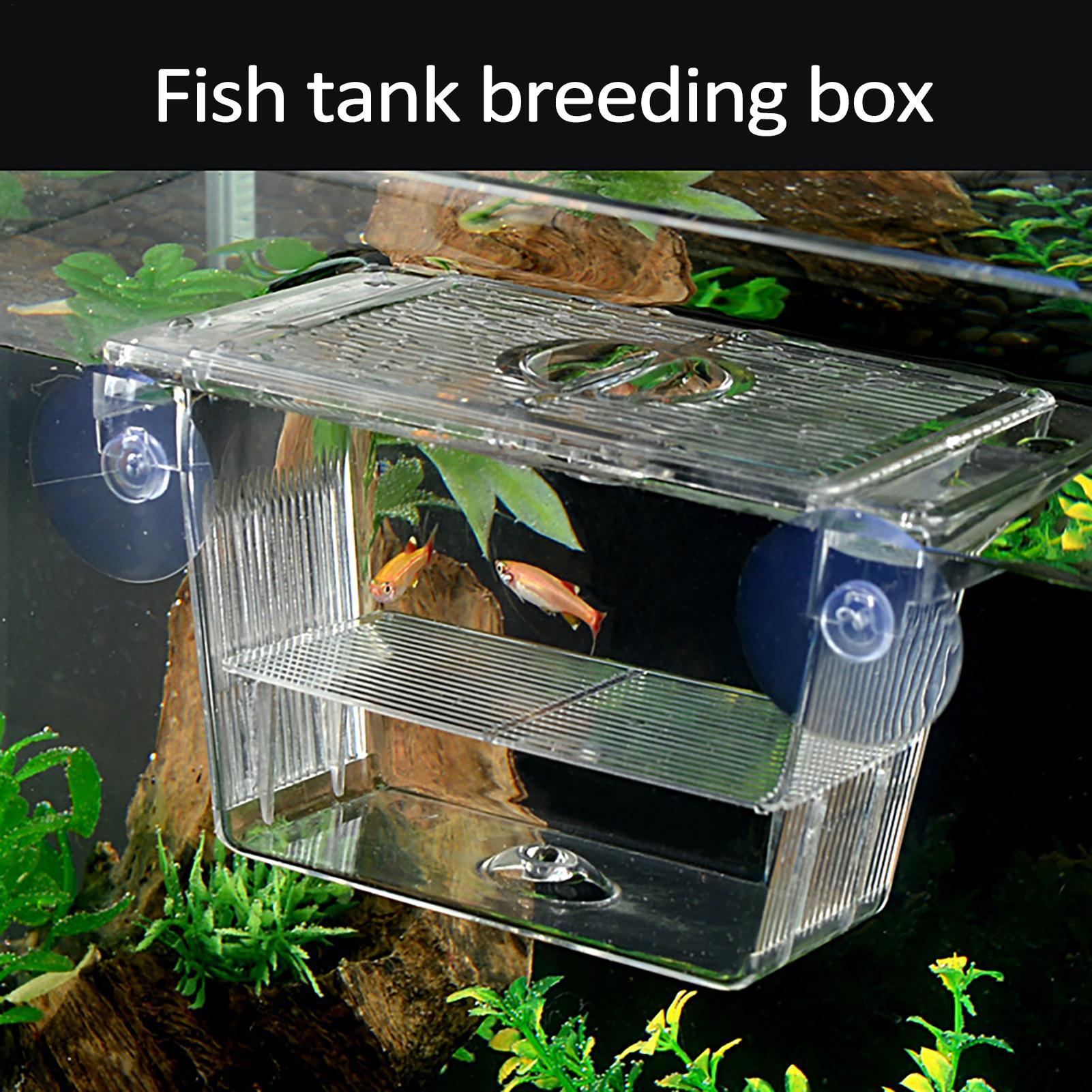 Aquarium Fish In Bowl - 水槽用育成ボックス 透明魚隔離ボックス アクリル孵化場 インキュベータータンク 赤ちゃん魚用タンク