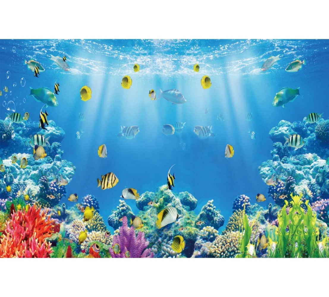 水中世界の魚とサンゴの水槽をテーマにした写真撮影用背景幕、子 - Aquarium Fish Of The World のレビューと価格