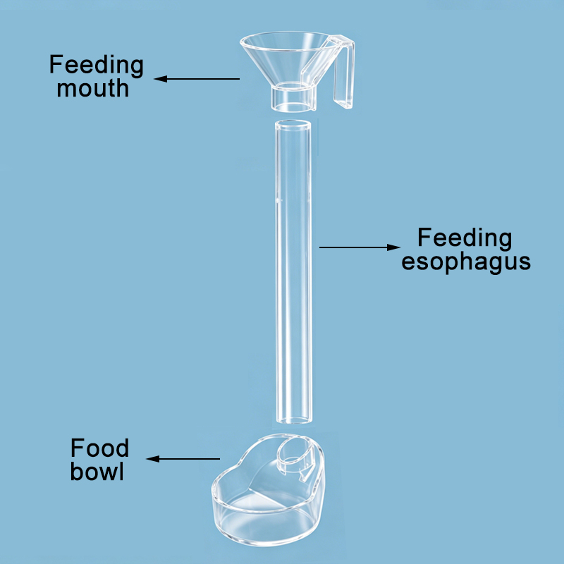 アクリル水槽フィッシュフィーダー透明チューブ多機能大容量水槽 - Aquarium Fish Holiday Food のレビューと価格