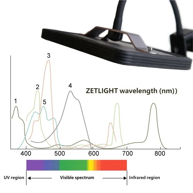 ホットZETLIGHT E2 WiFiマリンアクアリウム藻類 - Refugium Light Nano のレビューと価格