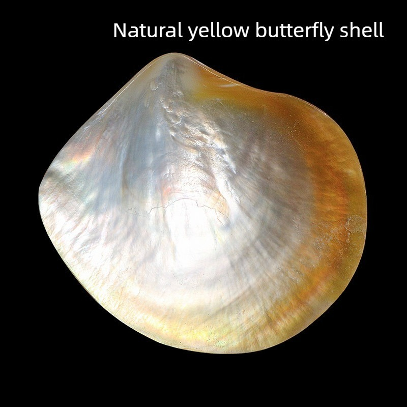天然黄色蝶貝貝貝シェルコレクション水族館の水槽造園プラットフ - Aquarium Fish Yellow のレビューと価格
