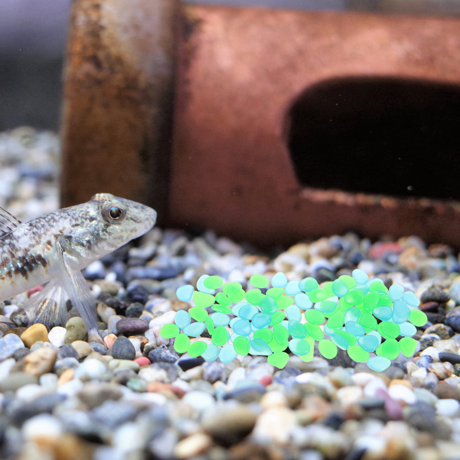 暗闇で光る小石100個セット、滑らかな樹脂製の石、水槽用装飾 - Aquarium Decoration Rock のレビューと価格