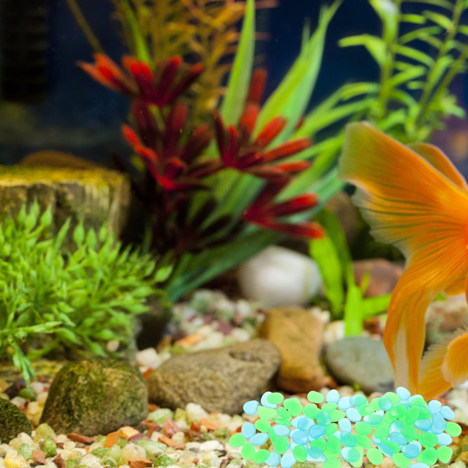 暗闇で光る小石100個セット、滑らかな樹脂製の石、水槽用装飾 - Aquarium Decoration Rock のレビューと価格