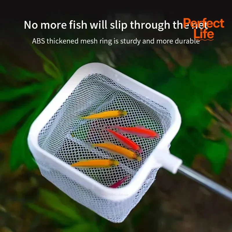 1、2個入りステンレス鋼製釣り用ランディングネット、防錆耐腐 - Aquarium Fishland のレビューと価格