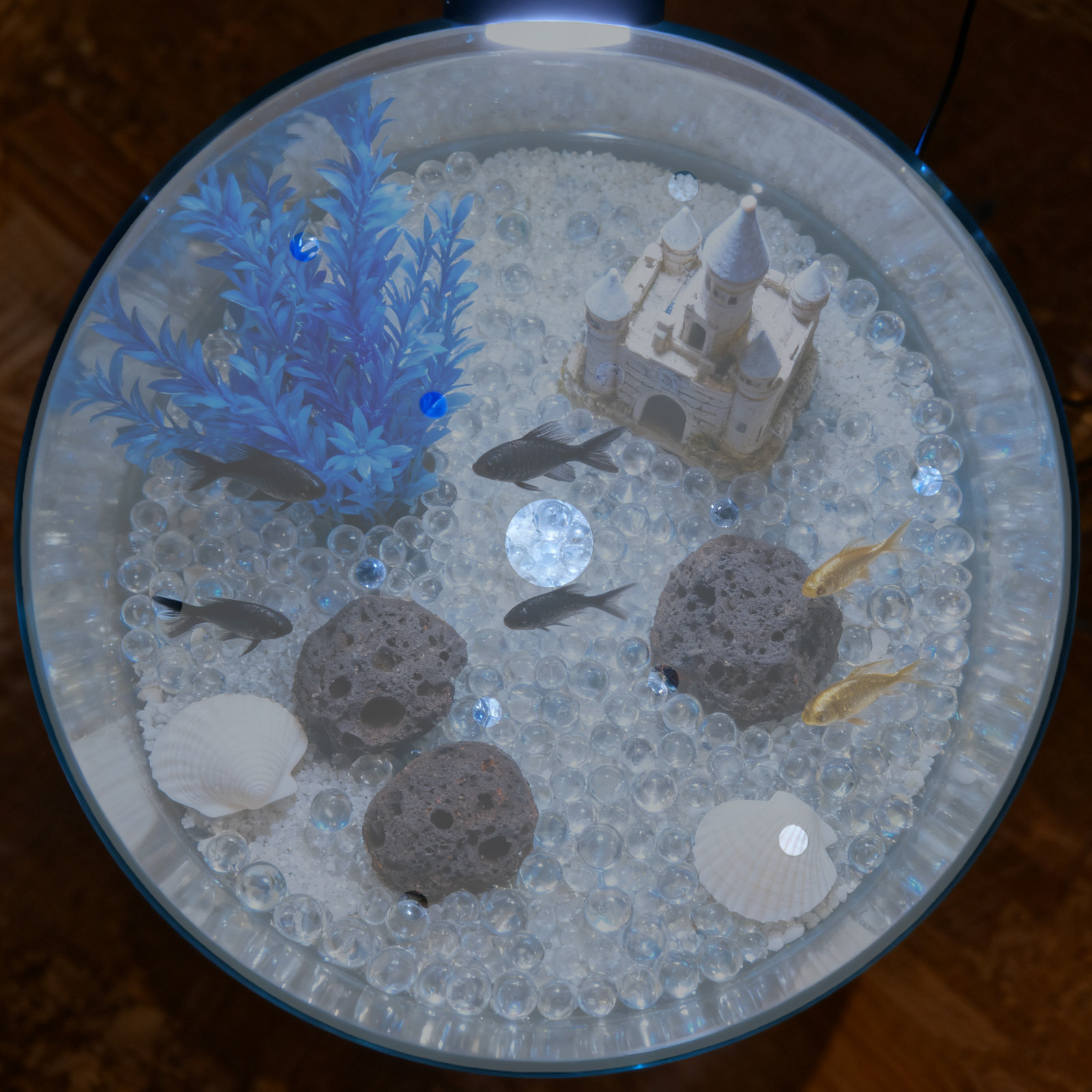 アクリル製丸型水槽蓋カバー 7インチ 高透明度 水槽保護用脱 - Aquarium Fish In Bowl のレビューと価格
