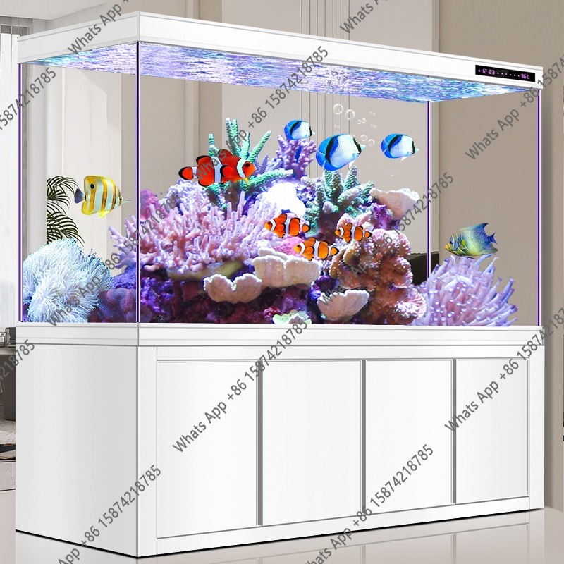 Xアロワナ水槽 ウルトラホワイトガラス 1.2メートル 中大 - Xchange Aquarium Fish のレビューと価格