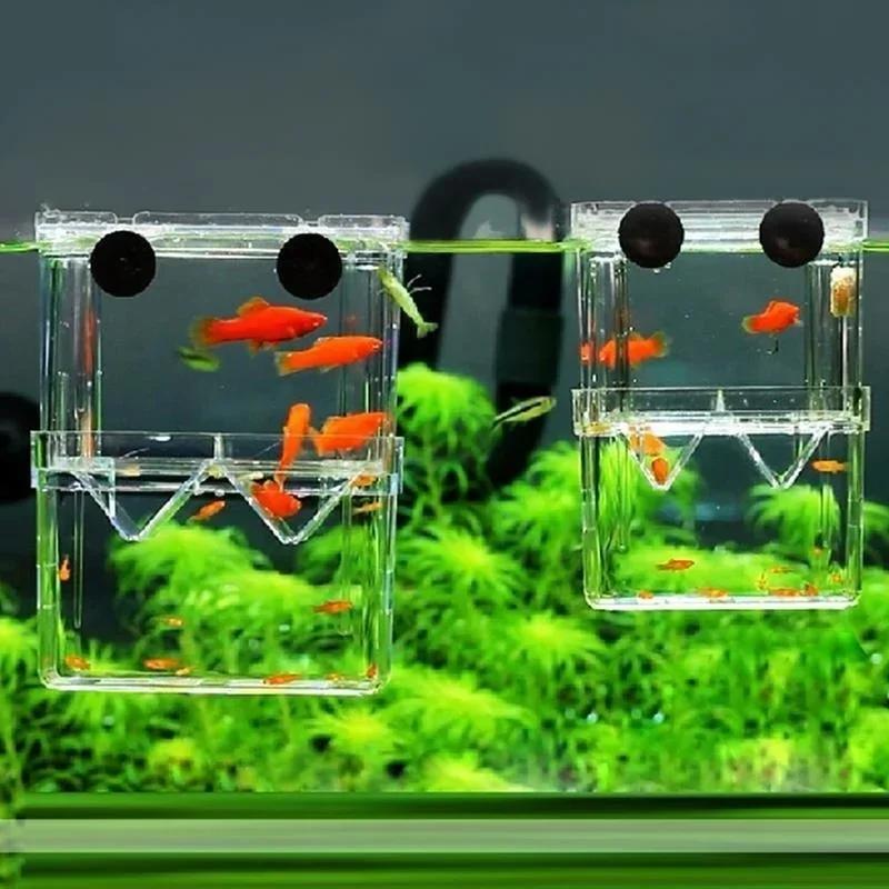 透明魚水族館高クリア繁殖分離ボックスペット用品ブリーダータン - Aquarium Fish In Bowl のレビューと価格