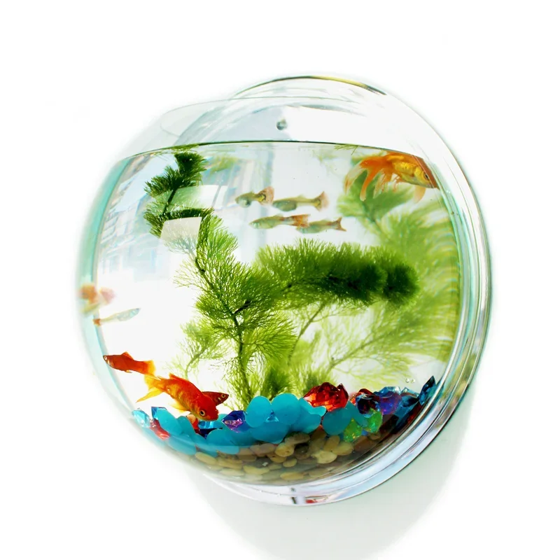 Pinsjar アクリル金魚鉢壁掛け水族館タンク水生ペット用 - Aquarium Fish In Bowl のレビューと価格
