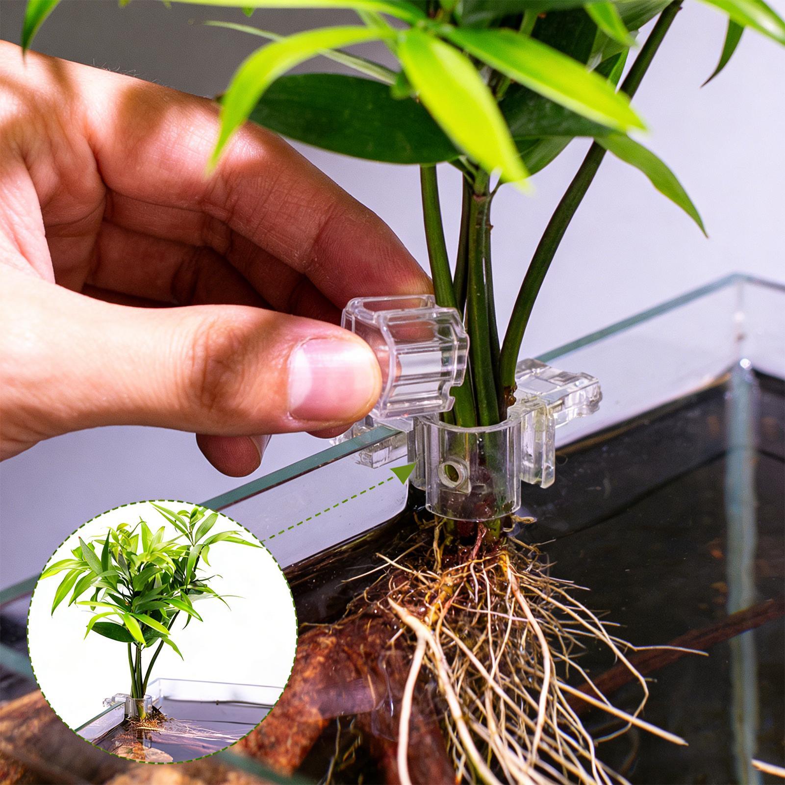 6個入り水槽植物ホルダーサポートカップミニ水槽プランターポッ - Aquarium Fish Elevator のレビューと価格