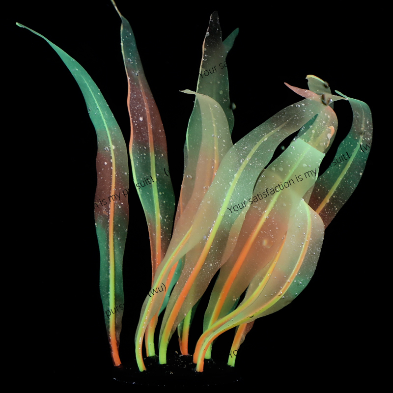 模擬昆布植物装飾水槽水族館水中世界シリコン昆布植物装飾複数の - Aquarium Fish Of The World のレビューと価格