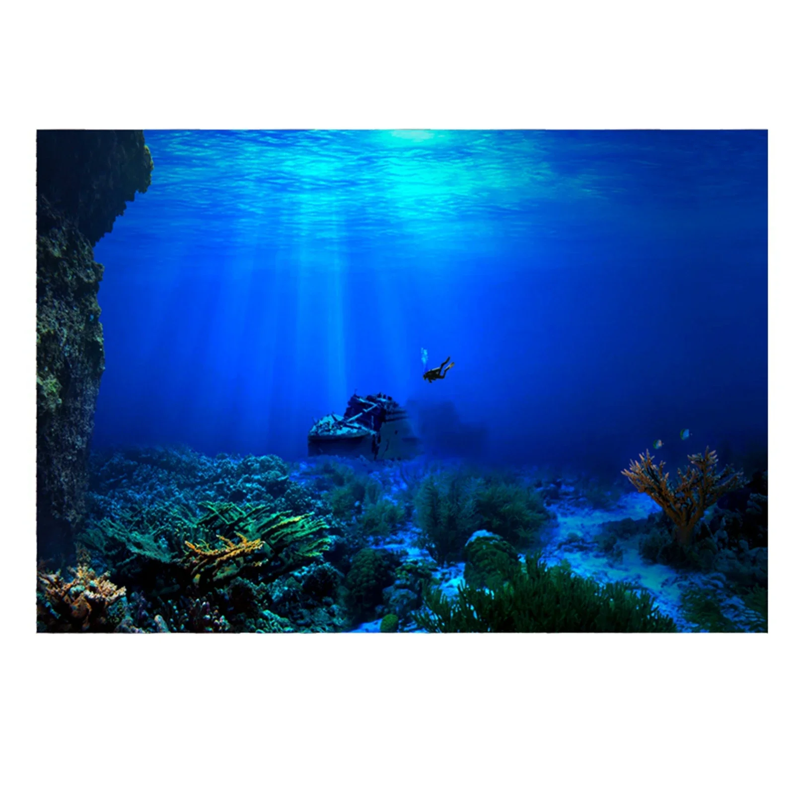 PVC 3d水中世界の水槽の背景ポスター、水中世界、風景写真 - Aquarium Fish Of The World のレビューと価格