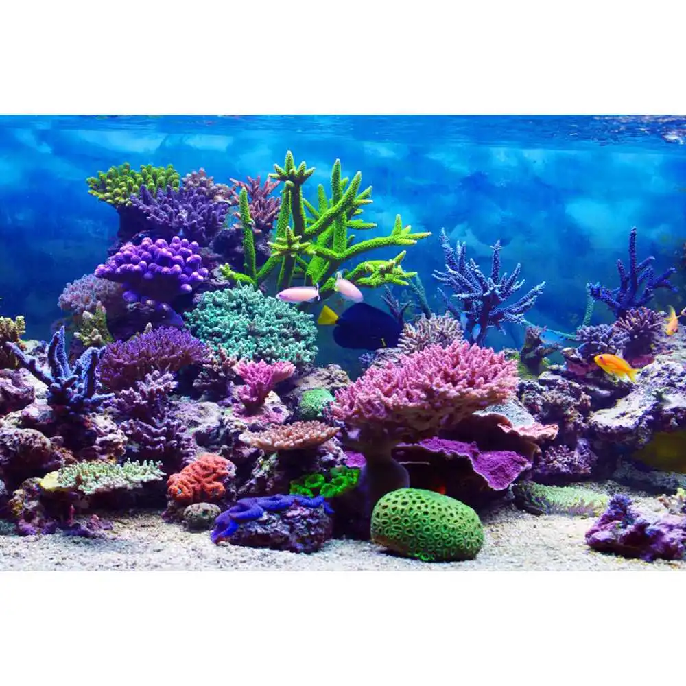 水中世界海底背景 海洋海底 魚 サンゴ 青い水 太陽光 水族 - Aquarium Fish Of The World のレビューと価格