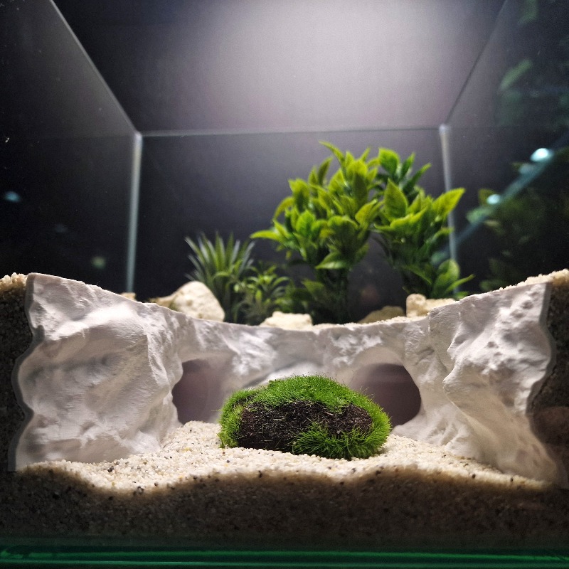 水陸両用隠れ家トンネル、安全な爬虫類の隠れ家、ヤモリ、ヤドカ - Aquarium Fishland のレビューと価格