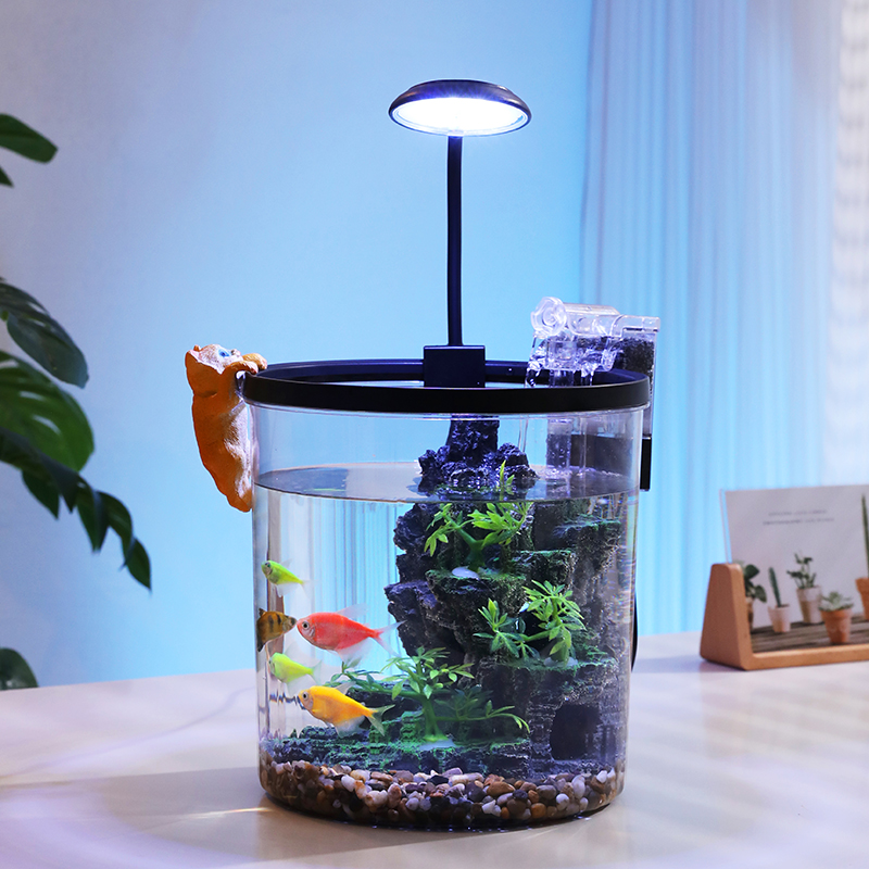 コンパクトな丸型金魚鉢 - 酸素供給と流水エコサイクルを備え - Aquarium Fish In Bowl のレビューと価格