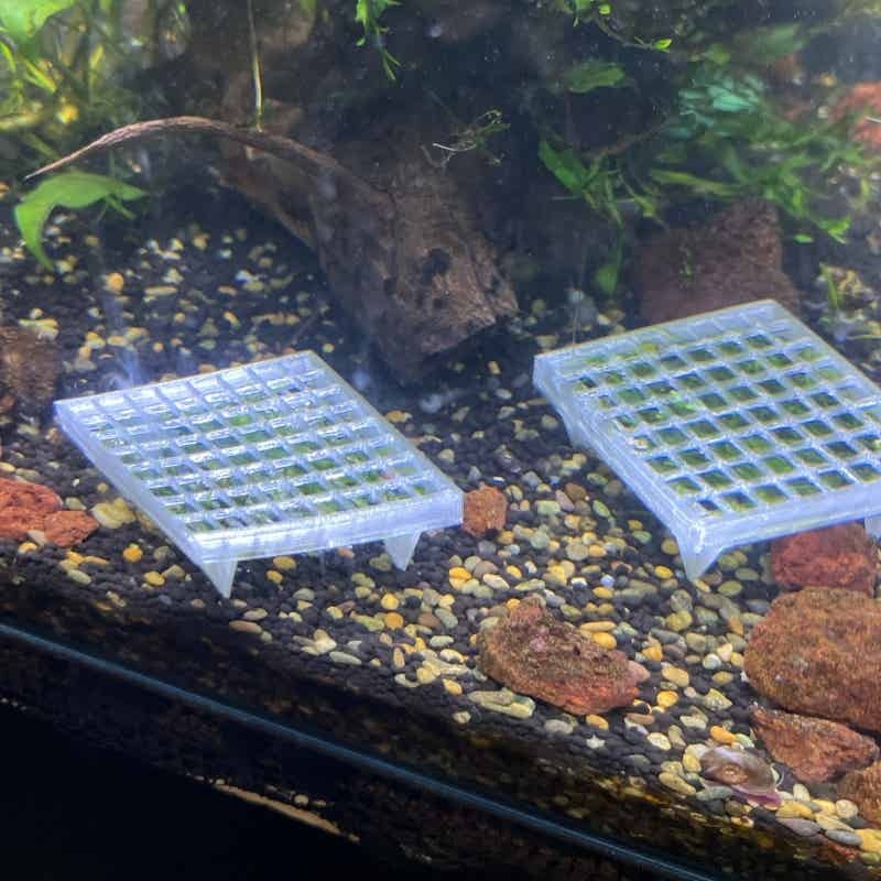 水槽用モスメッシュホルダー、魚タンク造園用高床式水生植物栽培 - Aquarium Fish Elevator のレビューと価格