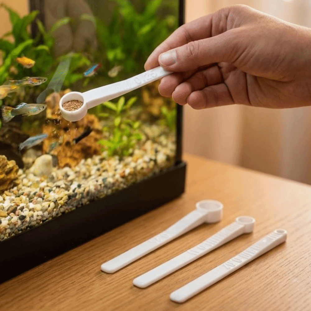 3 個マルチサイズ魚用フード計量スプーン正確なスケールで過給 - Aquarium Fish Holiday Food のレビューと価格