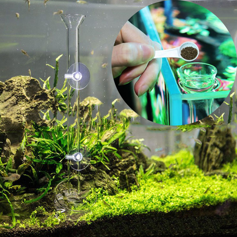 ガラスフィーダー,透明な魚のタンク,グラスファイバー,飼料器 - Aquarium Fish Holiday Food のレビューと価格