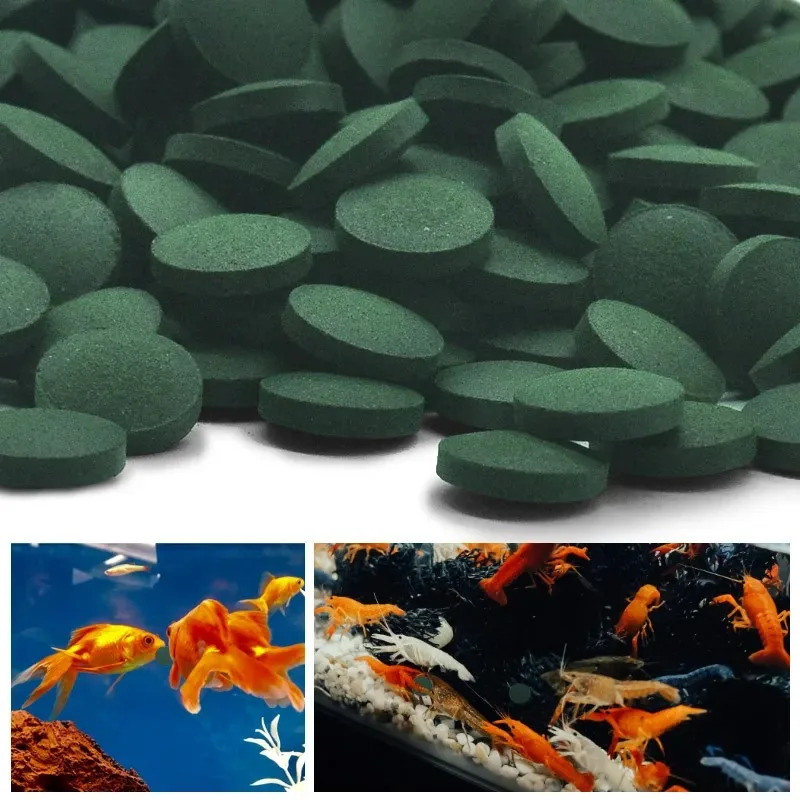 50/100/300/500 個スピルリナ錠剤螺旋状海藻濃縮 - Aquarium Fish Holiday Food のレビューと価格