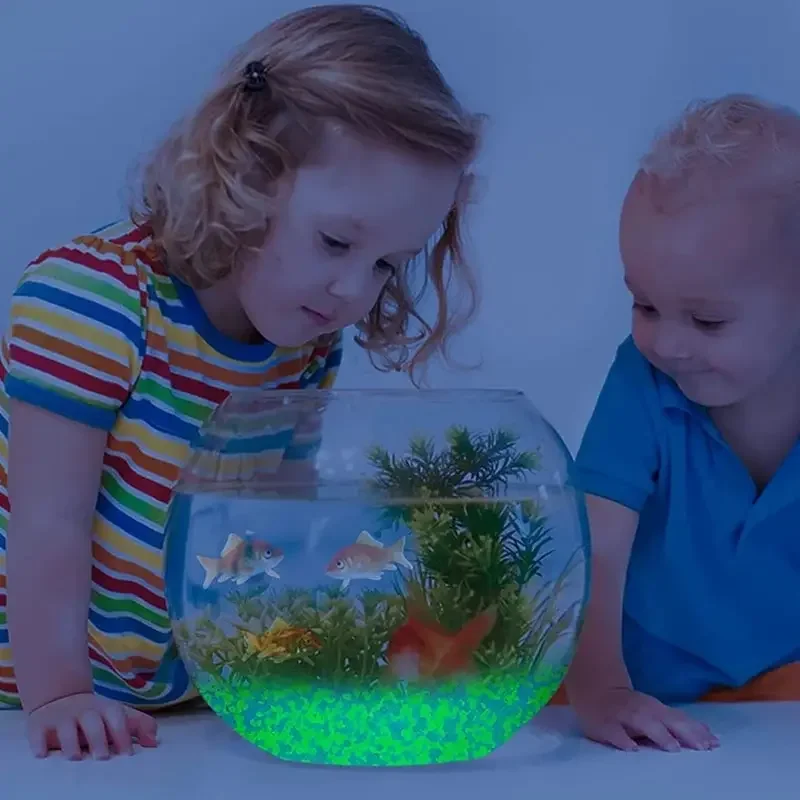暗い小石の中で輝き、明るい砂岩、家の庭、庭、屋外の小道、芝生 - Aquarium Decoration Rock のレビューと価格