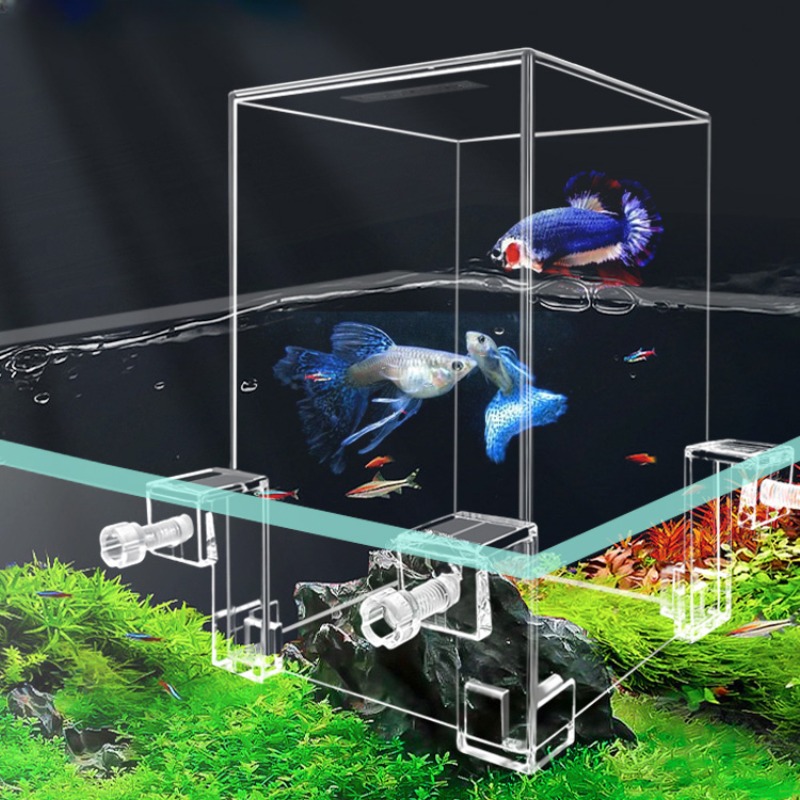 小さな魚のための負の圧力、創造的な装飾、エコロジカル水族館、 - Aquarium Fish In Bowl のレビューと価格