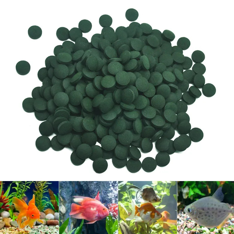 50-300 個高純度スピルリナ錠剤螺旋状海藻濃縮お気に入り - Aquarium Fish Holiday Food のレビューと価格
