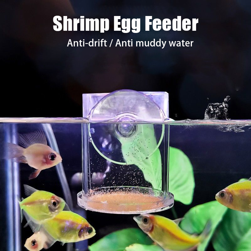 透明 Arcylic 水族館の魚の給餌カップリング抗ドリフト - Aquarium Fish Holiday Food のレビューと価格