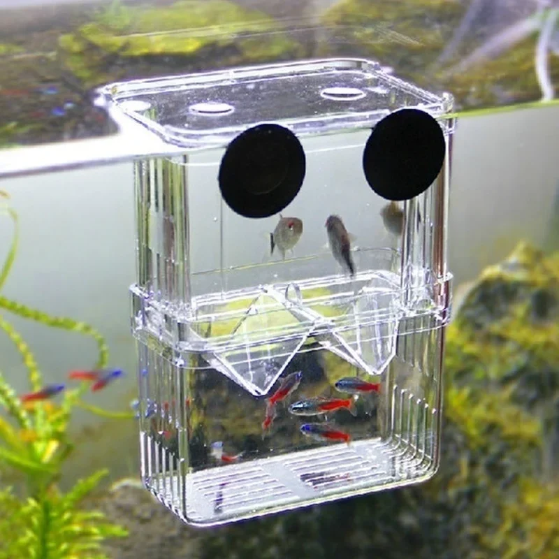 多機能水槽 高透明魚繁殖隔離ボックス 水槽用繁殖器 ダブルグ - Aquarium Fish In Bowl のレビューと価格