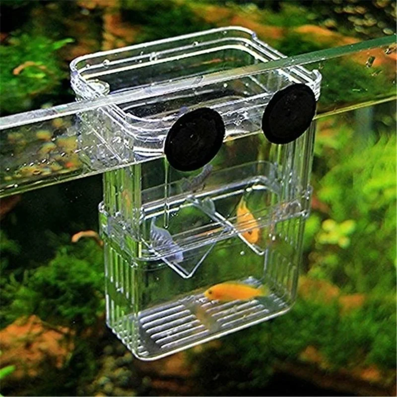 多機能水槽 高透明魚繁殖隔離ボックス 水槽用繁殖器 ダブルグ - Aquarium Fish In Bowl のレビューと価格