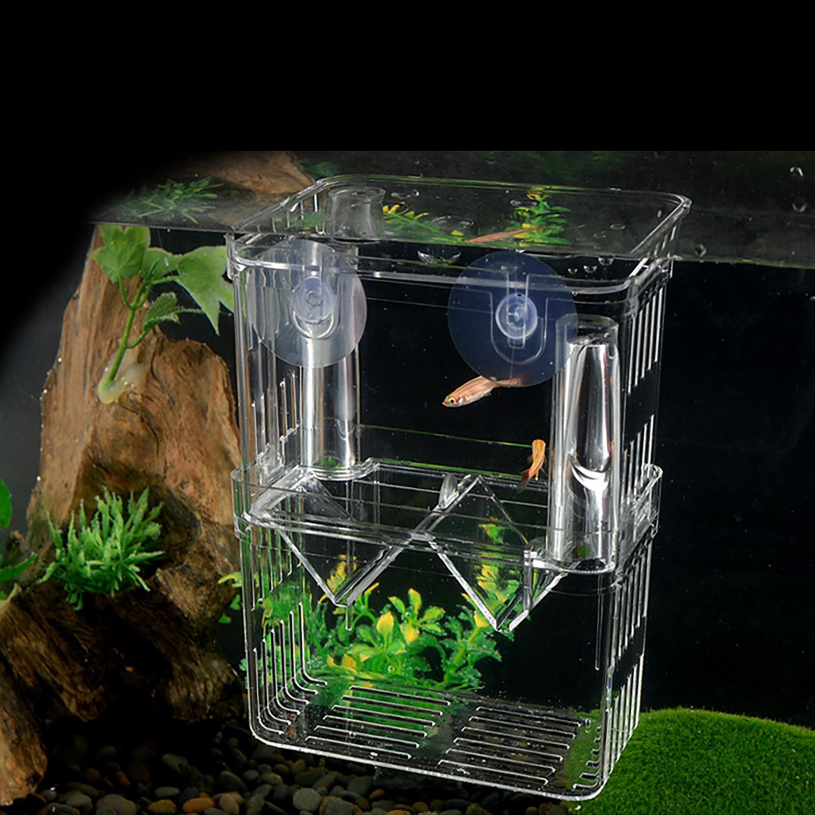 水槽用育成ボックス 透明魚隔離ボックス アクリル孵化場 イン - Aquarium Fish In Bowl のレビューと価格