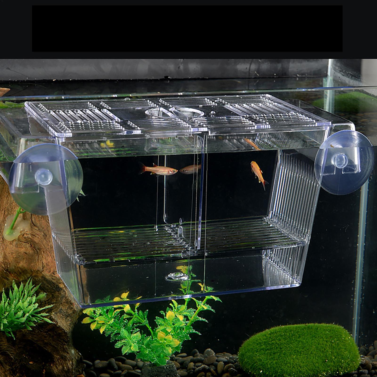 水槽用育成ボックス 透明魚隔離ボックス アクリル孵化場 イン - Aquarium Fish In Bowl のレビューと価格