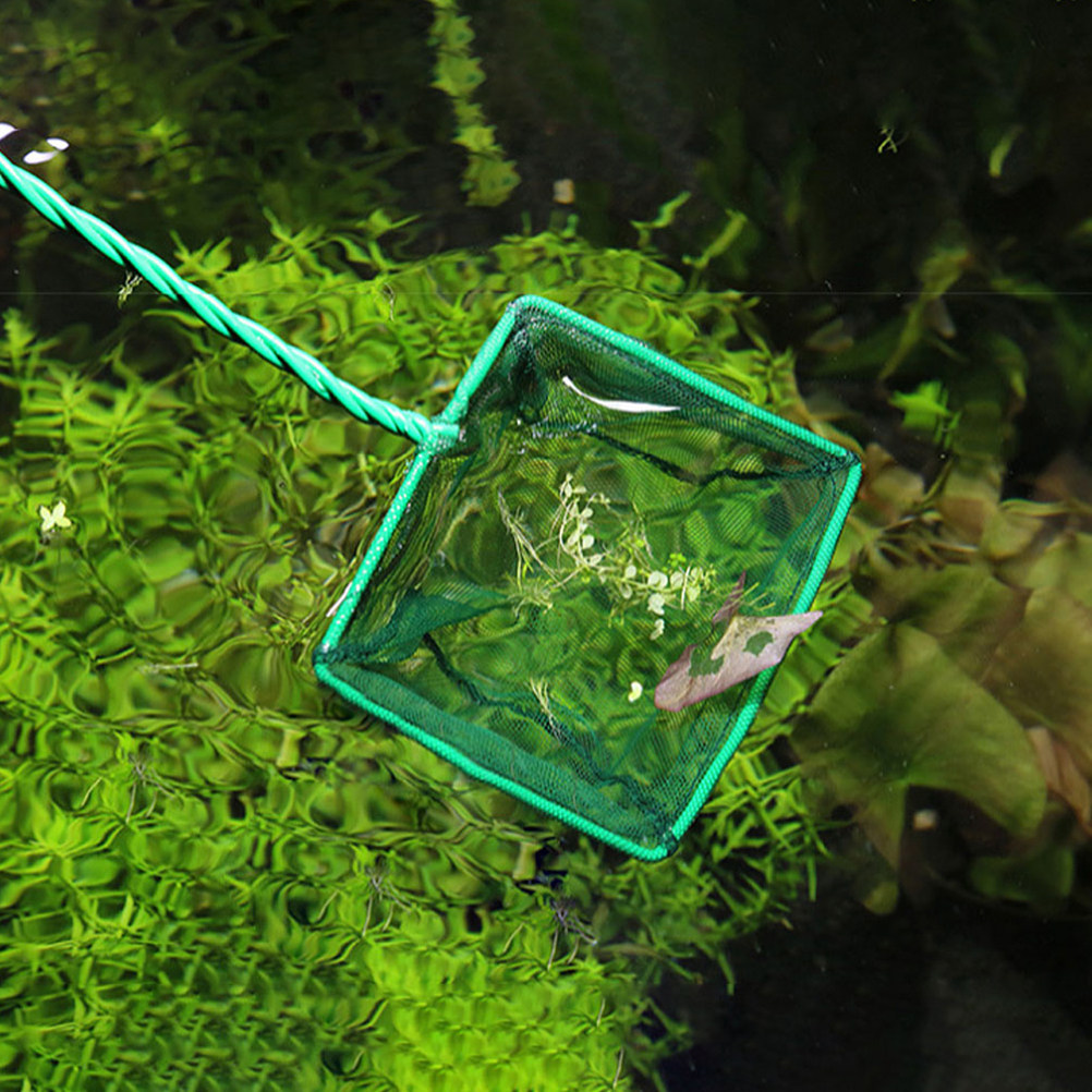 2 個ポータブル魚網水族館魚捕獲ネットタンク用エビ捕獲小型除 - Aquarium Fishland のレビューと価格