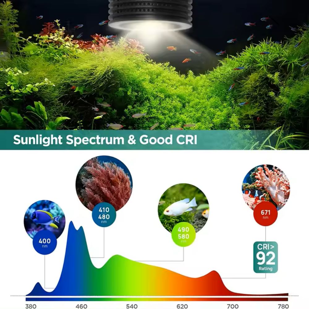 Lominie Asta 20 淡水 18 ワット RGBW - Refugium Light Nano のレビューと価格
