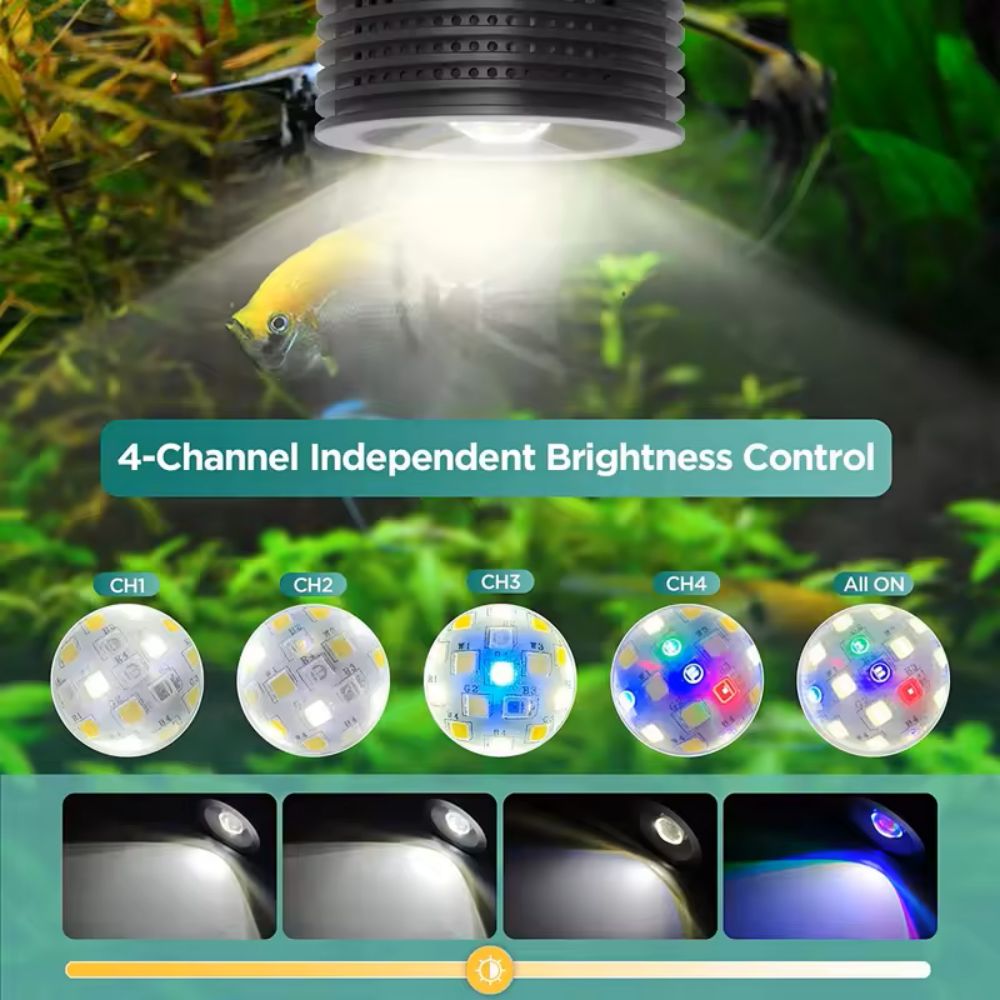 Lominie Asta 20 淡水 18 ワット RGBW - Refugium Light Nano のレビューと価格