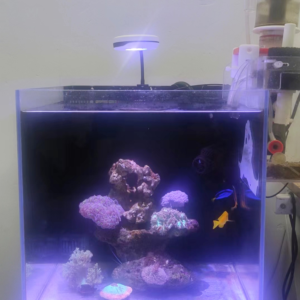 クリップ式20W LED水槽ライト Spectra Nano - Refugium Light Nano のレビューと価格